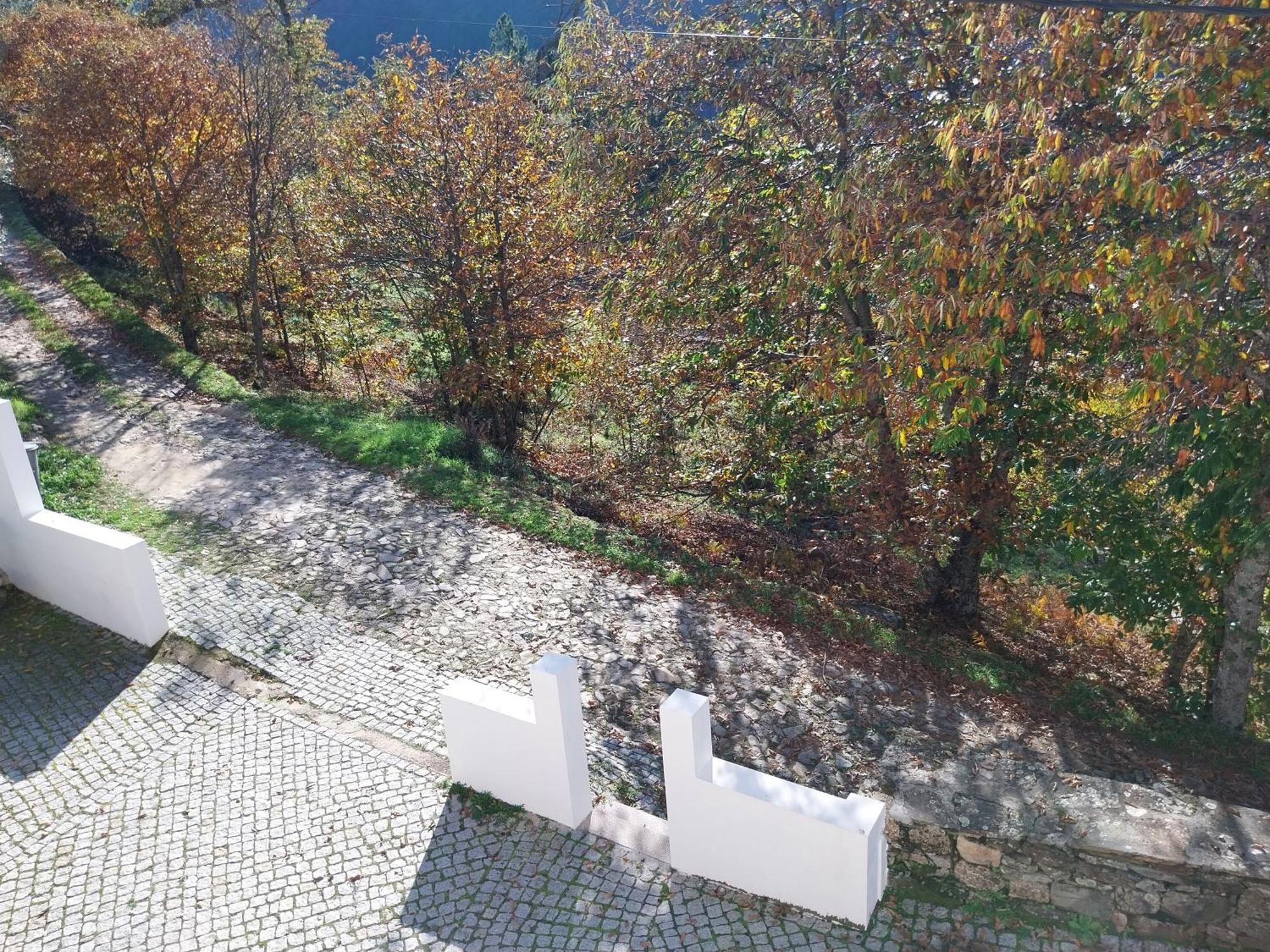 Casa Das Oliveiras - Manteigas Extérieur photo