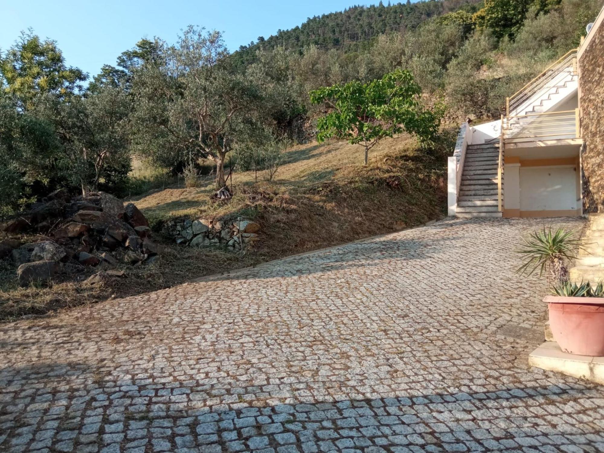 Casa Das Oliveiras - Manteigas Extérieur photo